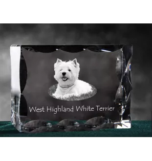 West Highland White Terrier, Weißer Hochlandterrier, Westie - Kristall mit einem Hundebild, Glasstatuette mit einem Bild, einzigartiger Bilderrahmen der Marke Art-Dog