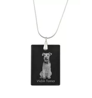 Welsh Terrier, Welshie, Daeargi Cymreig - Crystal pendant with dog, silver necklace with photo, personalised pendant by Art-Dog brand