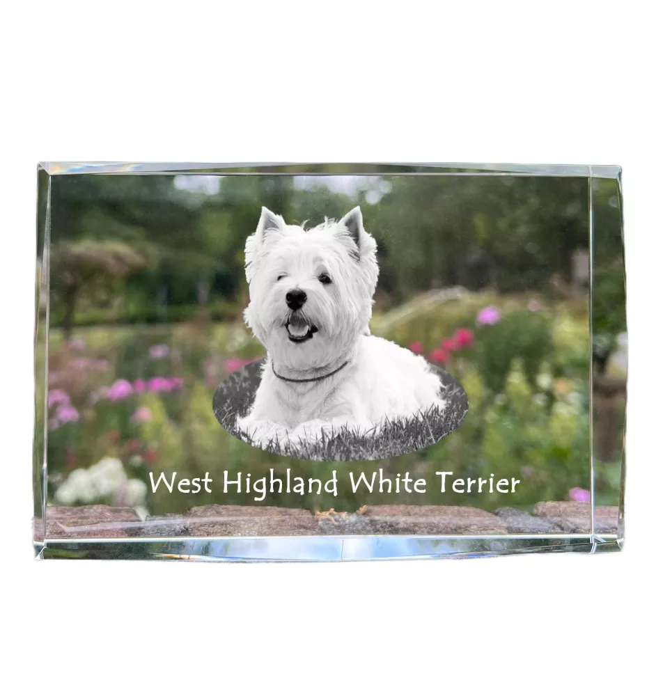West Highland White Terrier kryształ z psem Art-Dog