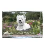 West Highland White Terrier, Weißer Hochlandterrier, Westie - Kristall mit einem Hundebild, Bild im Glas, moderne Ausstellung des Art-Dog-Bildes.