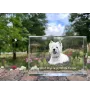 West Highland White Terrier, Weißer Hochlandterrier, Westie - Kristall mit einem Hundebild, Bild im Glas, moderne Ausstellung des Art-Dog-Bildes.