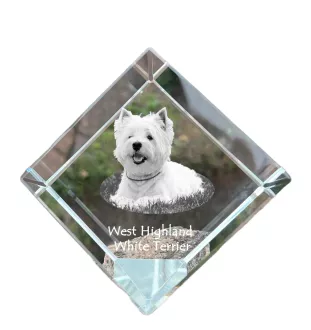 West Highland White Terrier, Weißer Hochlandterrier, Westie - Kristallwürfel mit Bild, Pferdebild im Kristall, sechseckiger Papierclip der Marke Art-Dog
