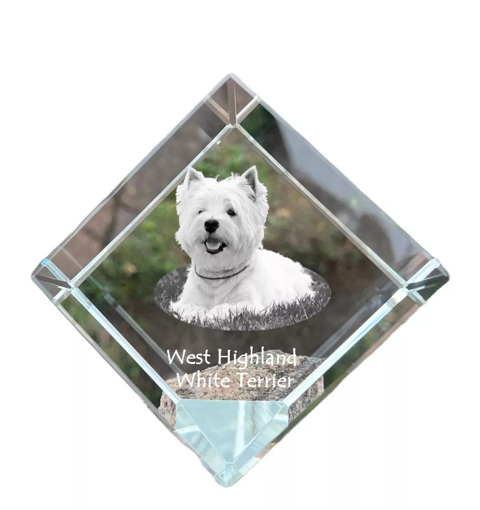 West Highland White Terrier, Weißer Hochlandterrier, Westie - Kristallwürfel mit Bild, Pferdebild im Kristall, sechseckiger Papierclip der Marke Art-Dog
