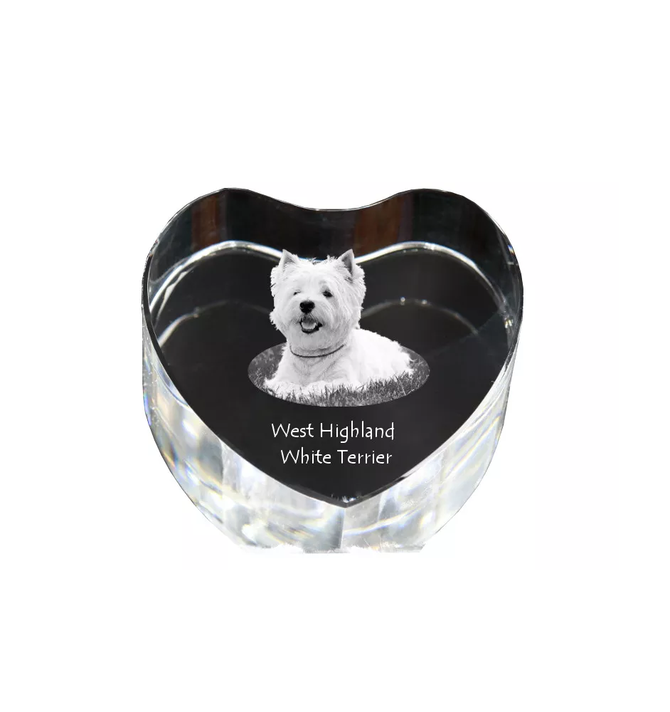 West Highland White Terrier, Weißer Hochlandterrier, Westie - Hundebild im Kristall, Kristallherz, einzigartiger Bilderrahmen der Marke Art-Dog