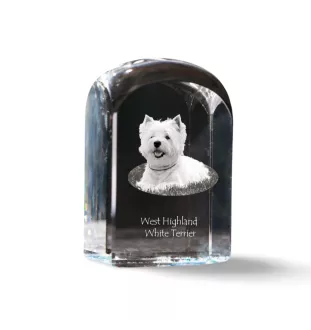 West Highland White Terrier, Weißer Hochlandterrier, Westie - Kristallwürfel mit Bild, Hundebild im Kristall, sechseckiger Papierclip von Art-Dog.