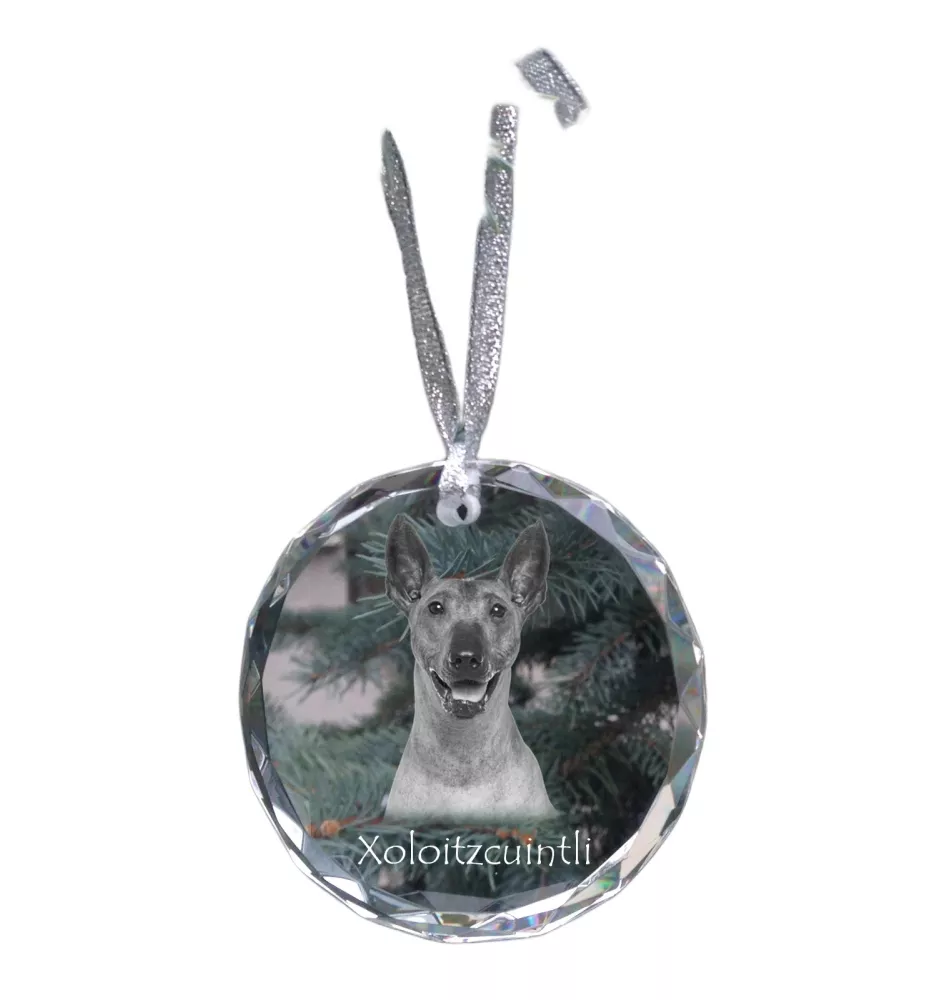 Mexikanischer Nackthund, Xoloitzcuintle, Xolo, Tepeizeuintli - Kristallkugel mit Foto, Hundebild im Kristall, personalisierter Christbaumschmuck von Art-Dog.