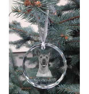 Mexikanischer Nackthund, Xoloitzcuintle, Xolo, Tepeizeuintli - Kristallkugel mit Foto, Hundebild im Kristall, personalisierter Christbaumschmuck von Art-Dog.