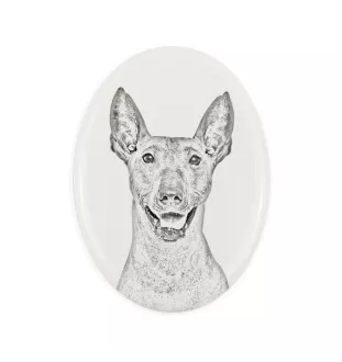 Nagi pies meksykański płyta nagrobna ze zdjęciem psa Art-Dog