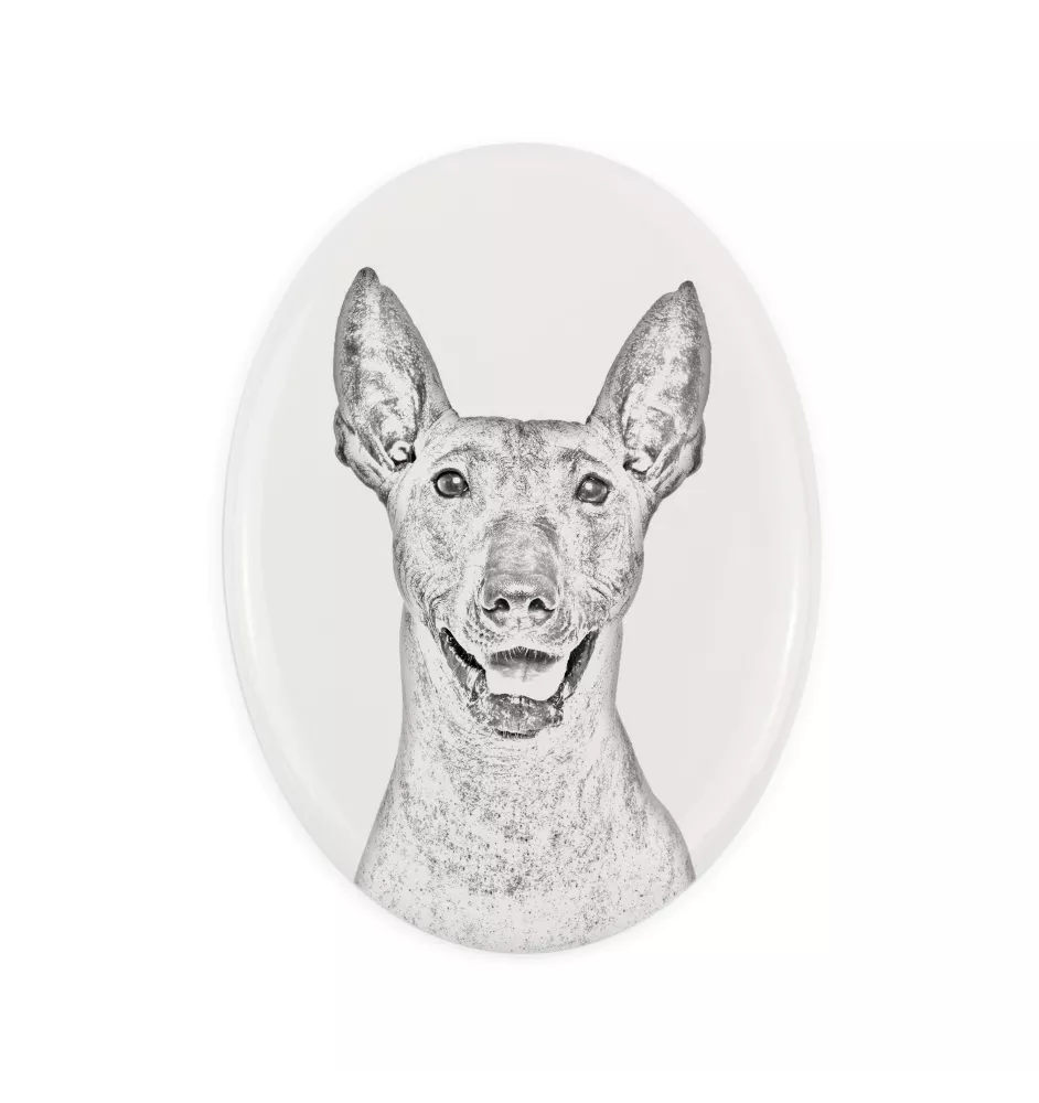 Mexikanischer Nackthund, Xoloitzcuintle, Xolo, Tepeizeuintli - Gedenktafel mit einem Foto eines Hundes, Grabplatte mit Druck, personalisierte ovale Platte der Marke Art-Dog