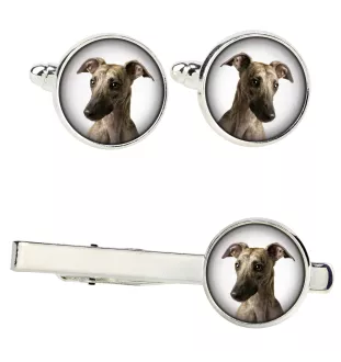 Whippet zestaw spinek w pudełku ze zdjęciem Art-Dog