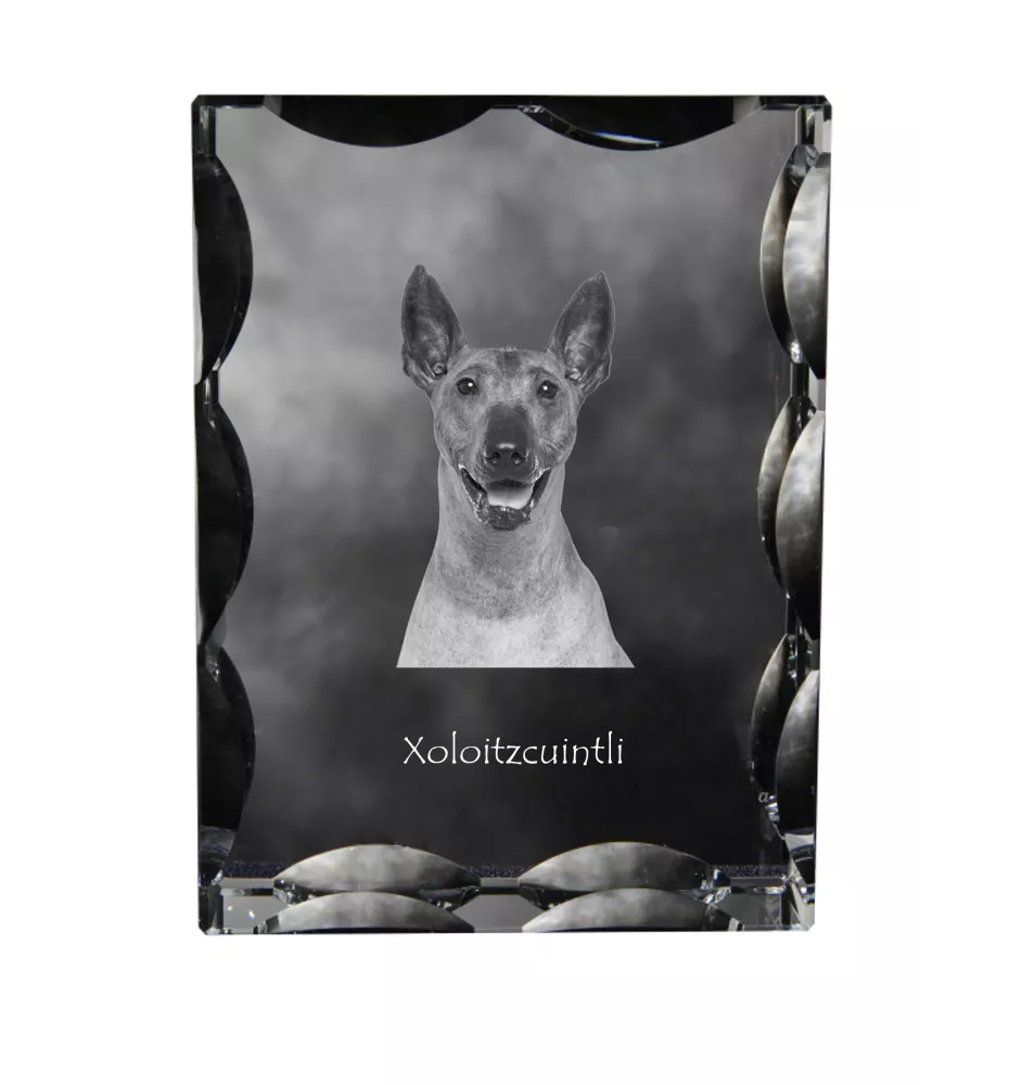 Xoloitzcuintle, Xolo, Chien nu mexicain, Chien nu du Mexique - cristal avec photo de chien, statuette en verre avec photo, cadre exceptionnel avec photo de la marque Art-Dog