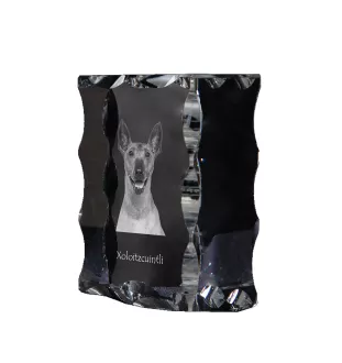 Nagi pies meksykański ramka kryształowa z psem Art-Dog