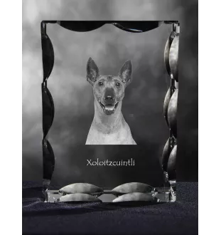 Nagi pies meksykański ramka kryształowa z psem Art-Dog