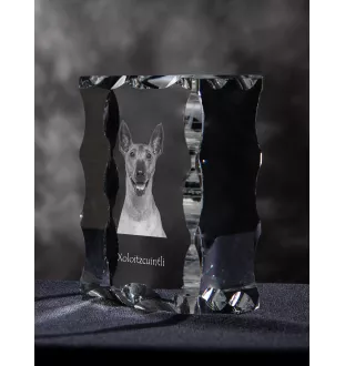 Nagi pies meksykański ramka kryształowa z psem Art-Dog