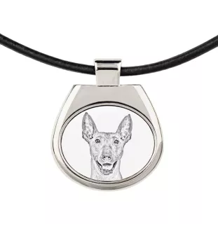 Xoloitzcuintle, Mexican Hairless Dog, Xoloitzquintle - dog necklace, personalized pendant with a photo, unique necklace for women and men by Art-Dog brand