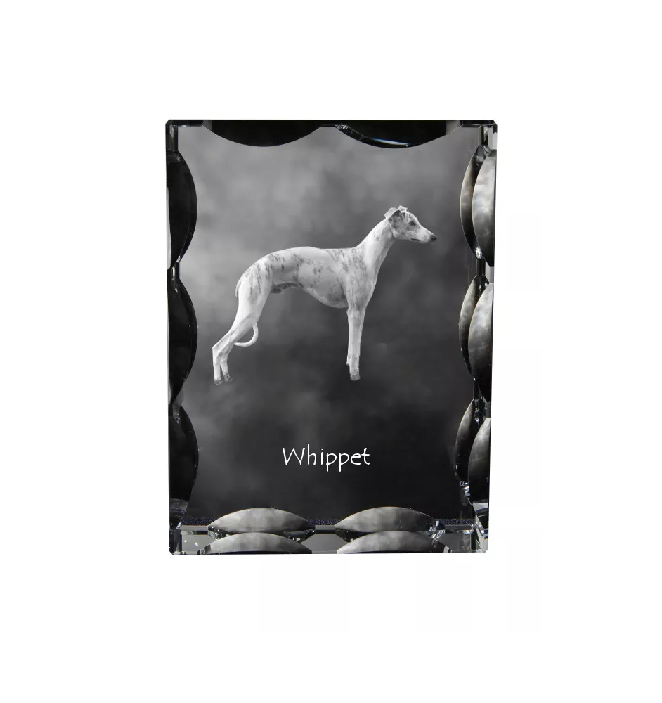 Whippet, Kleiner Englischer Windhund - Kristall mit einem Hundebild, Glasstatuette mit einem Bild, einzigartiger Bilderrahmen der Marke Art-Dog