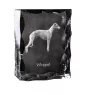 Whippet - crystal with a picture of a dog, glass statuette with a picture, unique frame with a picture from Art-Dog brand