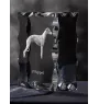 Whippet, Lévrier whippet - cristal avec photo de chien, statuette en verre avec photo, cadre exceptionnel avec photo de la marque Art-Dog