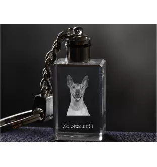 Xoloitzcuintle, Mexican Hairless Dog, Xoloitzquintle - Crystal key ring with dog photo, illuminated key ring, unique gift by Art-Dog brand