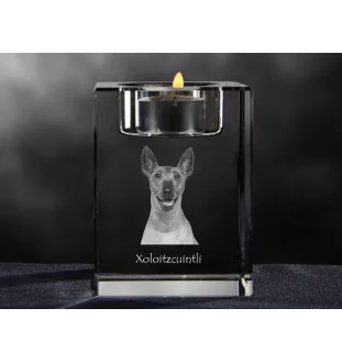 Xoloitzcuintle, Xolo, Chien nu mexicain, Chien nu du Mexique - Bougeoir avec photo de chien, porte bougie en cristal, cadeau personnalisé par la marque Art-Dog