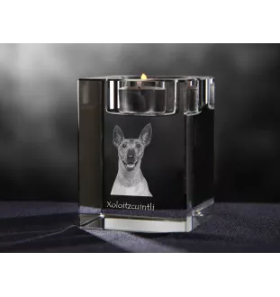Xoloitzcuintle, Xolo, Chien nu mexicain, Chien nu du Mexique - Bougeoir avec photo de chien, porte bougie en cristal, cadeau personnalisé par la marque Art-Dog