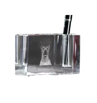 Xoloitzcuintle, Mexican Hairless Dog, Xoloitzquintle - Pen stand, crystal organiser with dog photo, unique desk decoration by Art-Dog brand