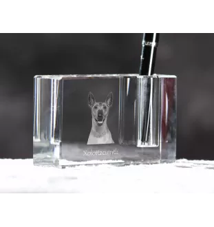 Mexikanischer Nackthund, Xoloitzcuintle, Xolo, Tepeizeuintli - Stifthalter, Kristallorganizer mit Hundefoto, einzigartige Schreibtischdekoration der Marke Art-Dog