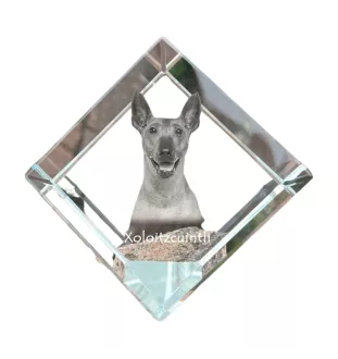 Xoloitzcuintle, Xolo, Chien nu mexicain, Chien nu du Mexique - un cube de cristal avec une photo, une photo de cheval dans le cristal, un presse-papiers cubique de la marque Art-Dog