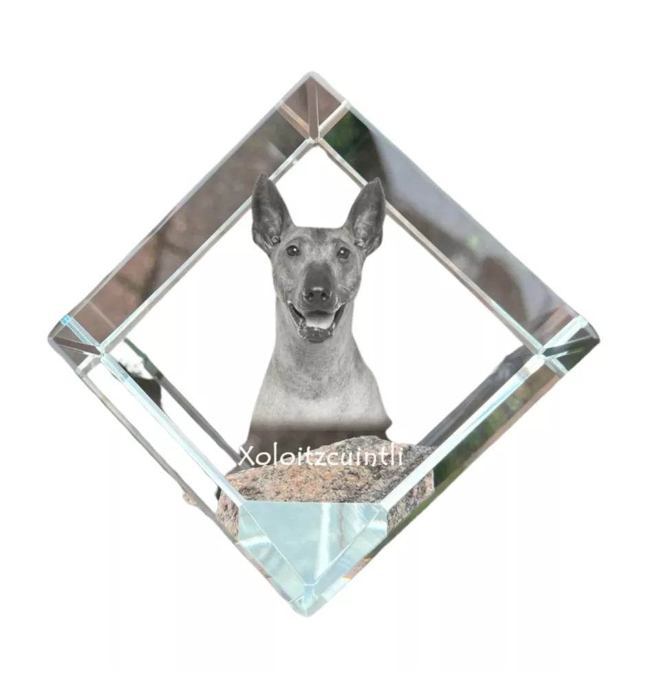 Xoloitzcuintle, Xolo, Chien nu mexicain, Chien nu du Mexique - un cube de cristal avec une photo, une photo de cheval dans le cristal, un presse-papiers cubique de la marque Art-Dog