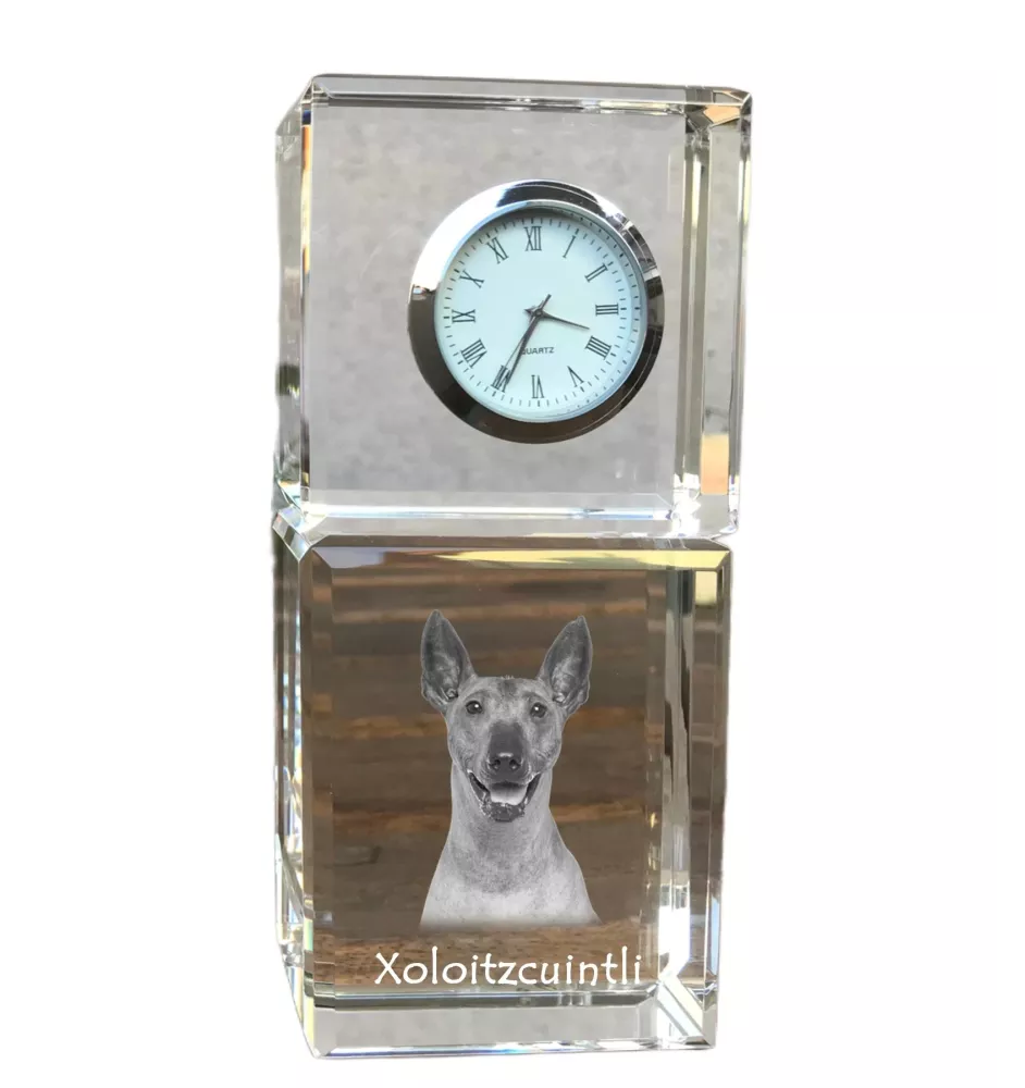 Xoloitzcuintle, Mexican Hairless Dog, Xoloitzquintle - crystal clock with a photo, a photo of a dog in crystal, personalized desk clock by Art-Dog brand