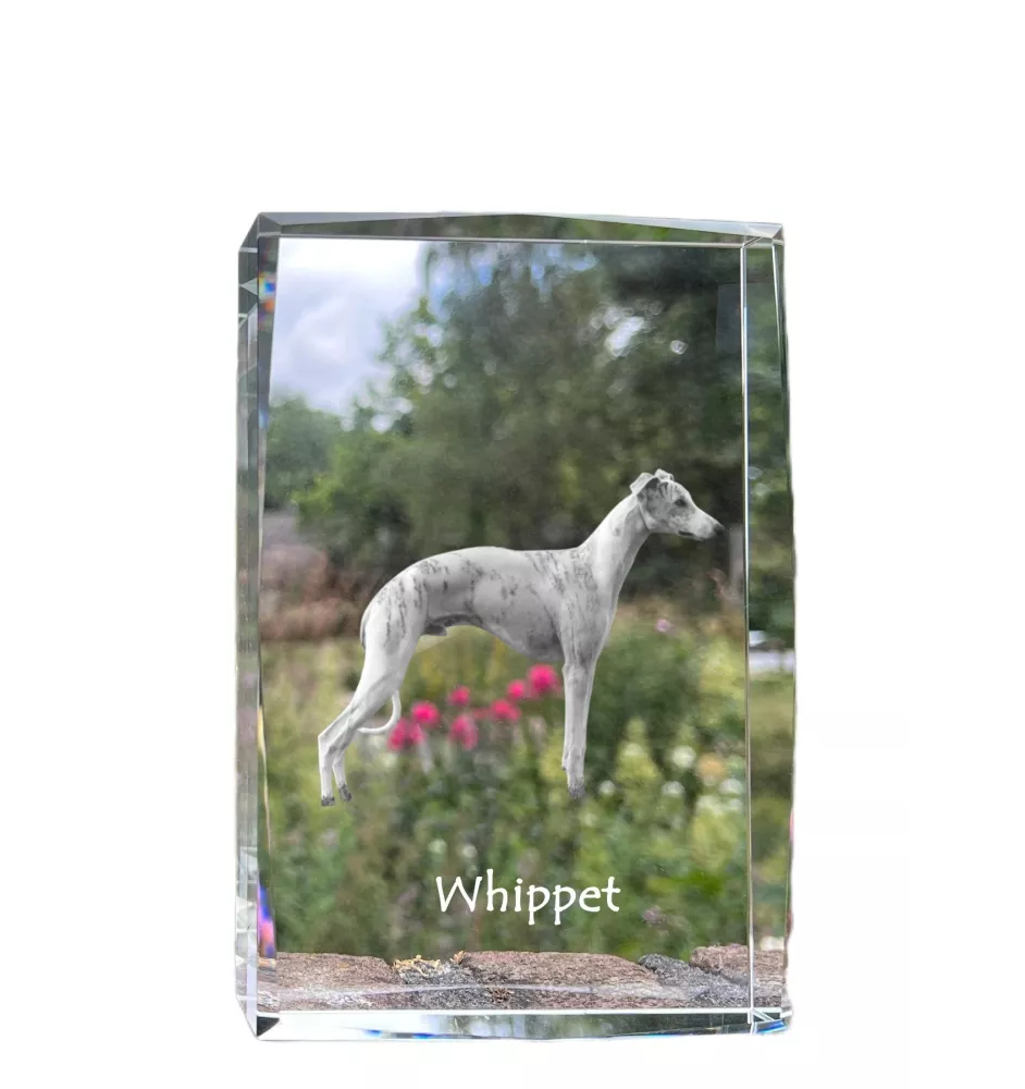Whippet - crystal with a picture of a dog, photo in glass, modern exhibition of Art-Dog brand photo