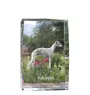 Whippet, Lévrier whippet - cristal avec une photo de chien, photo sous verre, exposition moderne de la marque de photos Art-Dog