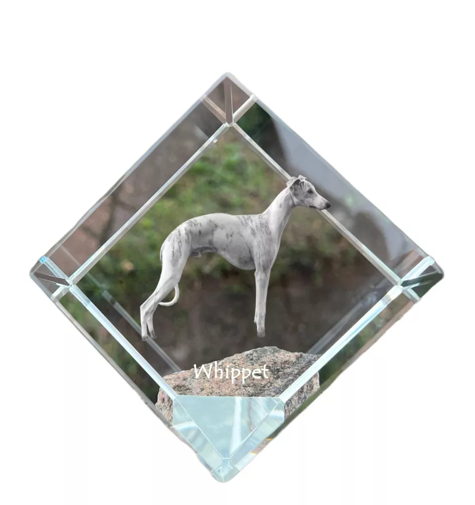 Whippet - crystal cube with a photo, photo of a horse in crystal, cubic paperweight from Art-Dog brand