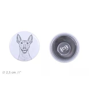 Xoloitzcuintle, Xolo, Chien nu mexicain, Chien nu du Mexique - boucles d'oreilles uniques avec un chien, votre animal de compagnie sur un porte-clés, marque propre Art-Dog