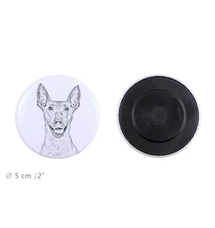 Xoloitzcuintle, Mexican Hairless Dog, Xoloitzquintle - magnet with a dog's pupil, exceptionally light, strong magnet, handmade product by the Art-Dog brand