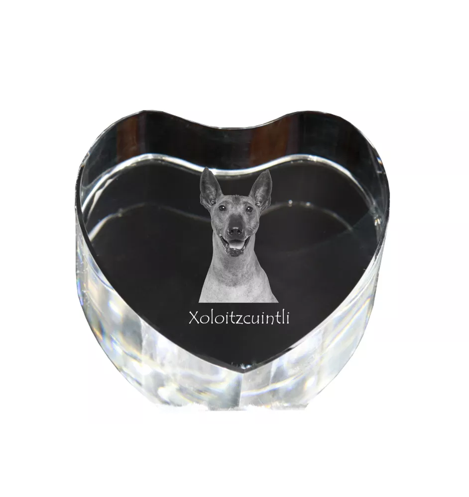 Xoloitzcuintle, Mexican Hairless Dog, Xoloitzquintle - a photo of a dog in crystal, crystal heart, unique photo frame from the Art-Dog brand
