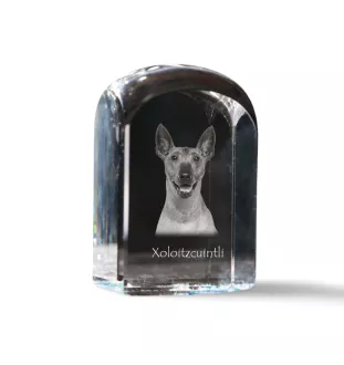 Xoloitzcuintle, Mexican Hairless Dog, Xoloitzquintle - crystal cube with a photo, photo of a dog in crystal, cubic paperweight from Art-Dog brand