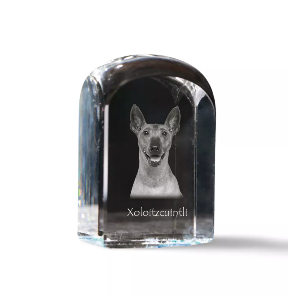 Mexikanischer Nackthund, Xoloitzcuintle, Xolo, Tepeizeuintli - Kristallwürfel mit Bild, Hundebild im Kristall, sechseckiger Papierclip von Art-Dog.