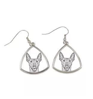 Xoloitzcuintle, Mexican Hairless Dog, Xoloitzquintle - dog earrings, hanging earrings with a picture, personalized jewelry with Art-Dog brand print
