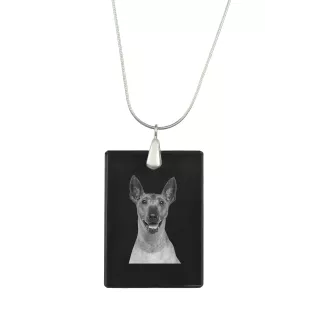 Xoloitzcuintle, Xolo, Chien nu mexicain, Chien nu du Mexique - Pendentif en cristal avec chien, collier en argent avec photo, pendentif personnalisé par la marque Art-Dog