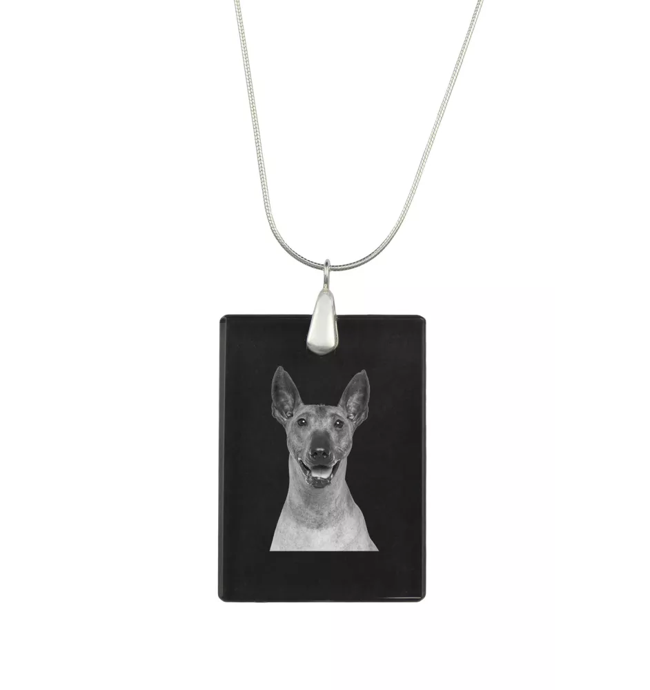 Xoloitzcuintle, Xolo, Chien nu mexicain, Chien nu du Mexique - Pendentif en cristal avec chien, collier en argent avec photo, pendentif personnalisé par la marque Art-Dog
