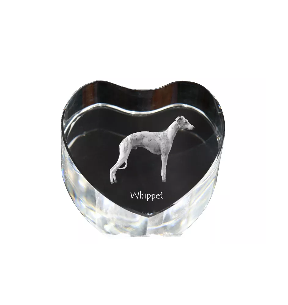 Whippet, Lévrier whippet - une photo de chien dans un cristal, un cœur en cristal, un cadre photo exceptionnel de la marque Art-Dog