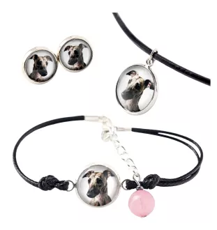 Whippet komplet w pudełku ze zdjęciem Art-Dog