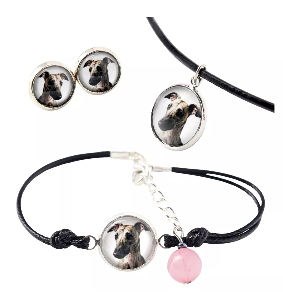 Whippet, Lévrier whippet - ensemble de bijoux dans une boîte, collier, boucles d'oreilles, bracelet, produits de la marque Art-Dog