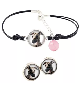 Whippet, Lévrier whippet - ensemble de bijoux avec votre photo, accessoire féminin, article fait main, produit fabriqué à la main avec passion pour la création de la marque Art-Dog