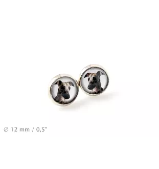 Whippet - earrings in a box, your photo, handmade jewelry, a product of the Art-Dog brand