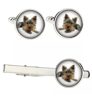 Yorkshire Terrier zestaw spinek w pudełku ze zdjęciem Art-Dog