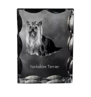 Yorkshire Terrier, Terrier Du Yorkshire, York - cristal avec photo de chien, statuette en verre avec photo, cadre exceptionnel avec photo de la marque Art-Dog