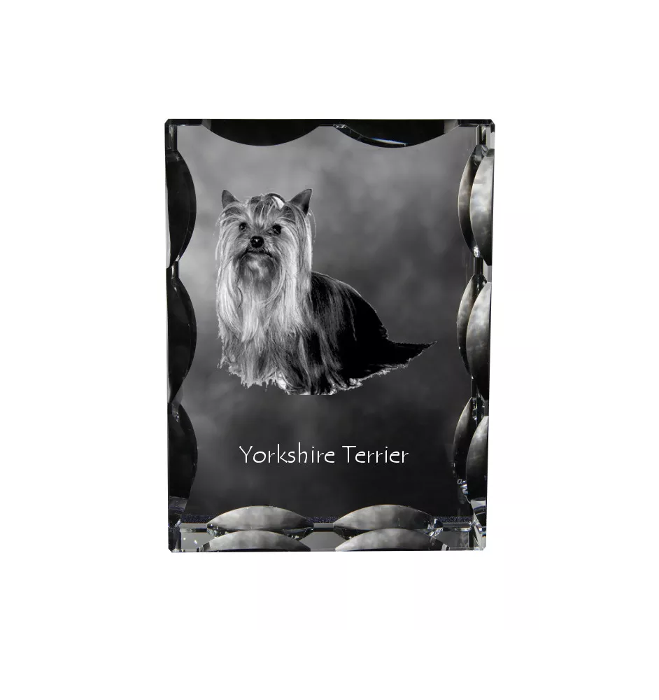 Yorkshire Terrier - Kristall mit einem Hundebild, Glasstatuette mit einem Bild, einzigartiger Bilderrahmen der Marke Art-Dog