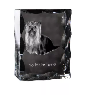 Yorkshire Terrier, Yorkie - crystal with a picture of a dog, glass statuette with a picture, unique frame with a picture from Art-Dog brand